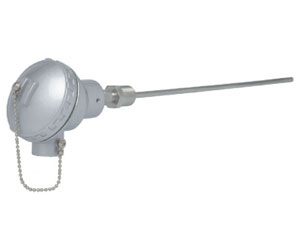 TC01 - Thermocouple Assembly With Fixed Threaded Connection
