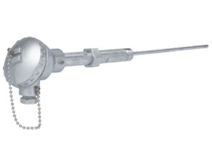 Thermocouple Assembly With Nipple-Union-Nipple Extension